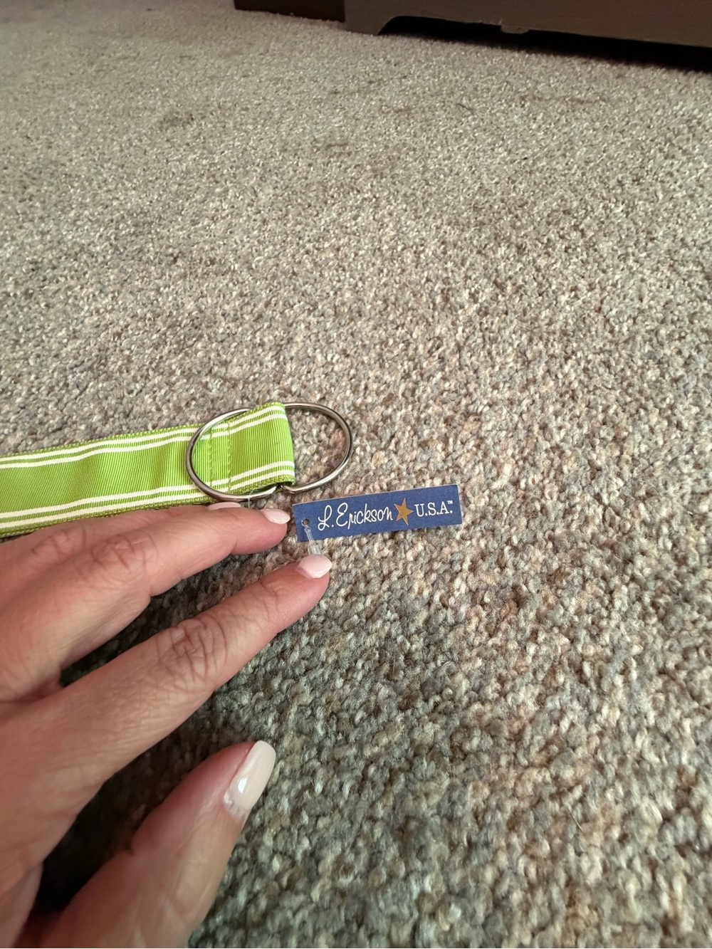 L. Erickson USA Lime Stripe belt